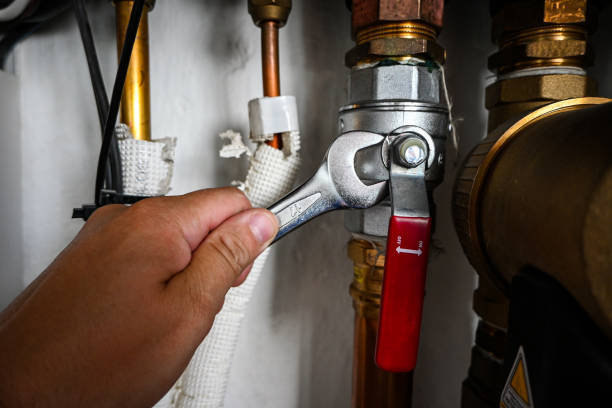 Best Clogged Drain Plumber  in Union City, CA